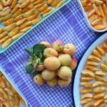 Top view of fresh apricots and sliced pieces arranged on trays over a blue checkered tablecloth.